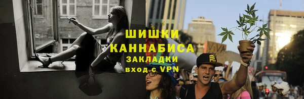 соль ск Верхний Тагил