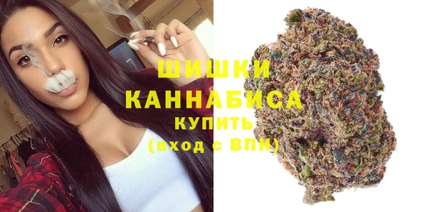 соль ск Верхний Тагил