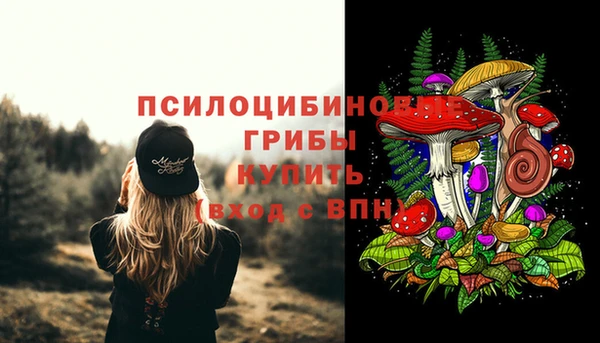 МДПВ Верхнеуральск